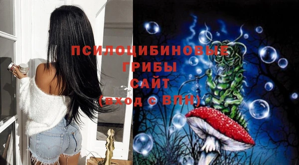 apvp Саяногорск