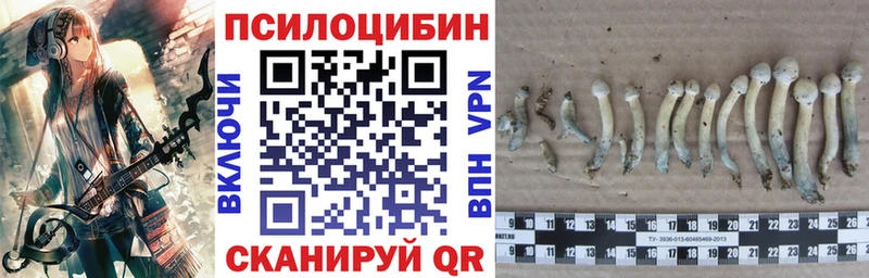 Галлюциногенные грибы Cubensis  купить наркотик  Бологое 